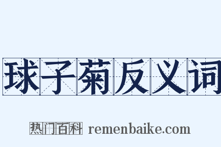球子菊反义词是什么意思的图片